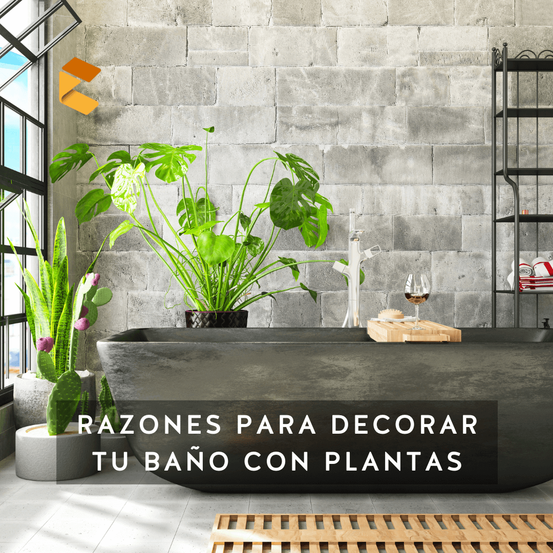 Lee más sobre el artículo Estas son las razones para decorar tu baño con plantas